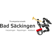 Leitung Stadtkasse  (m/w/d)